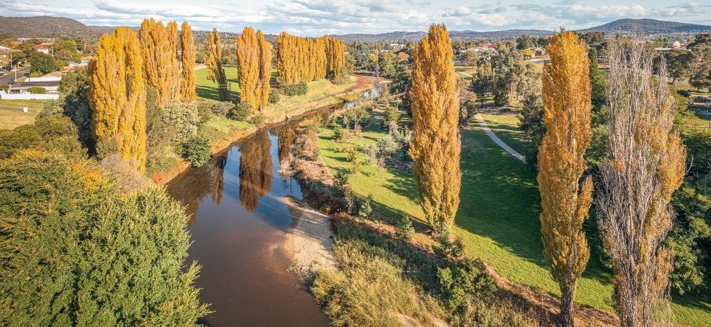 Autumn river and poplars near Canberra, a scenic drive from Parkway Motel Queanbeyan